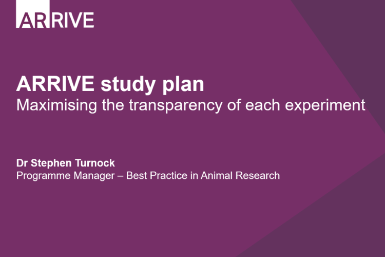 arrive-study-plan-arrive-guidelines